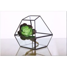 Kształt Super duże szklane terrarium geometryczne